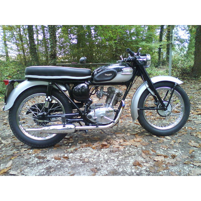 Triumph T 20