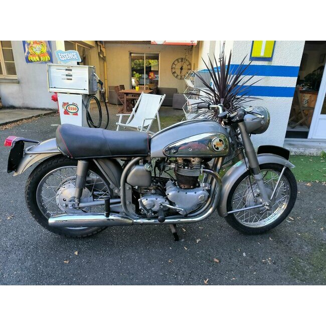 Norton 99